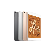 Apple iPad mini 5th Gen WiFi Cellular 256GB Very Good Condition