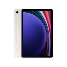 Samsung Galaxy Tab S9 (SM-X710) 256GB Very Good Condition
